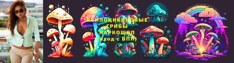 mega ссылки  купить закладку  Иннополис  Галлюциногенные грибы Cubensis 